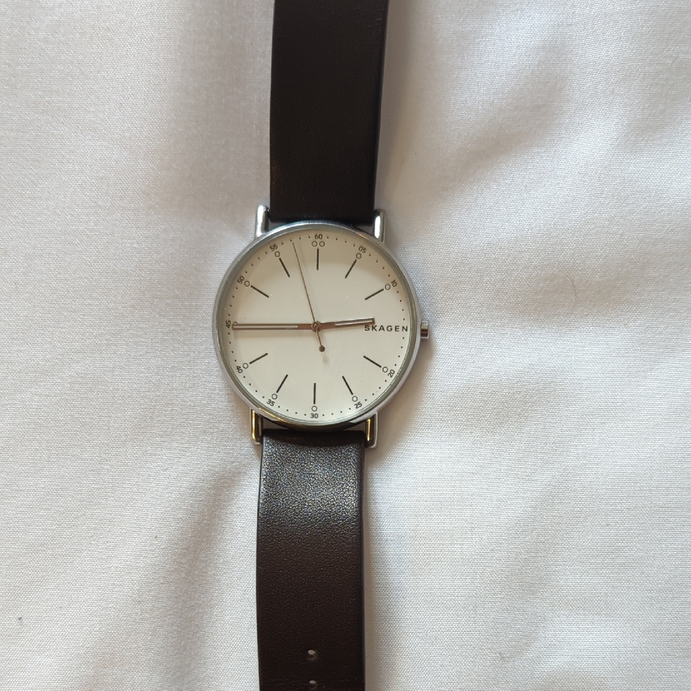 Skagen Silver and Brown Leather Watch
